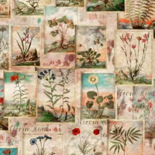 REVERSO PLANTS