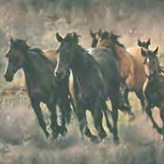 REVERSO HORSE WILD